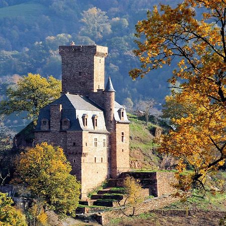 Chateau La Servayrie - Chambre D'Hotes Marcillac-Vallon Eksteriør billede