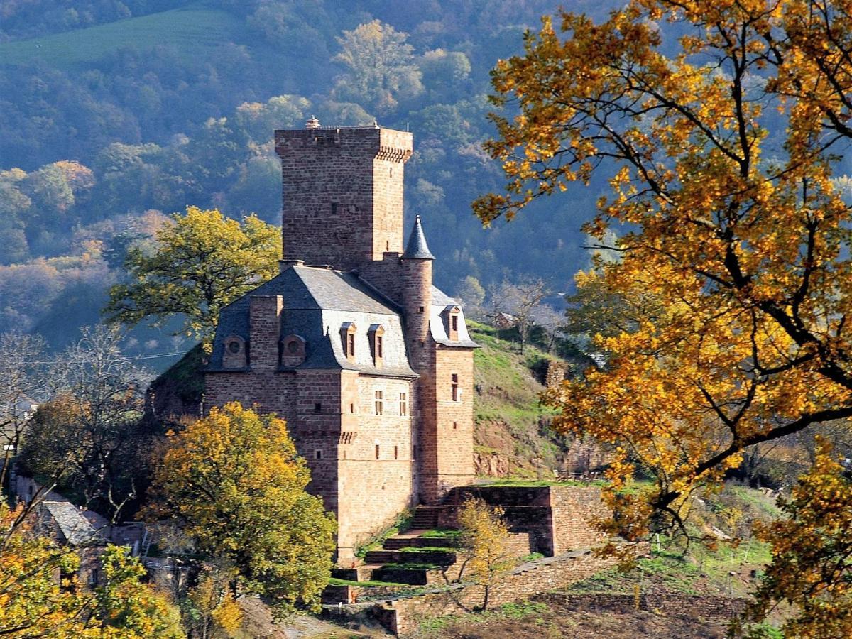 Chateau La Servayrie - Chambre D'Hotes Marcillac-Vallon Eksteriør billede